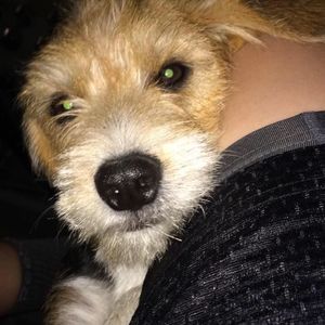 Meet your Posher, Thomas